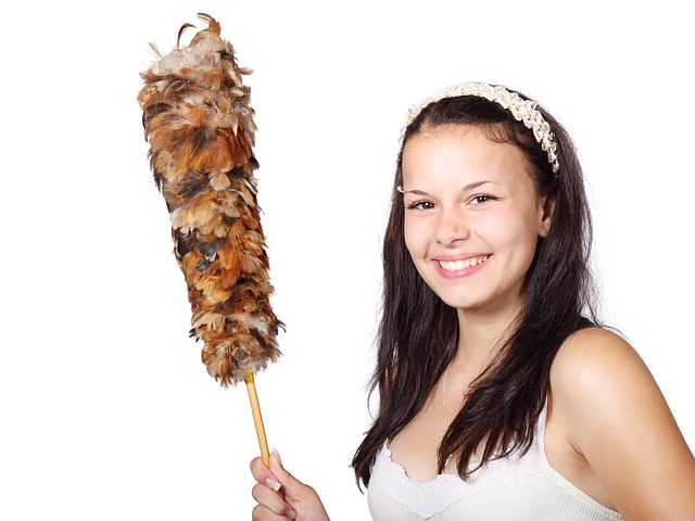 vrouwen maken meer schoon dan mannen