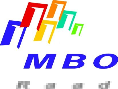 MBO Raad vacature