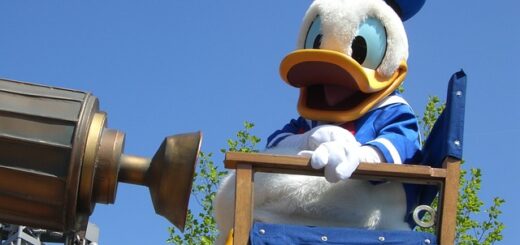 Donald Duck alliteratie