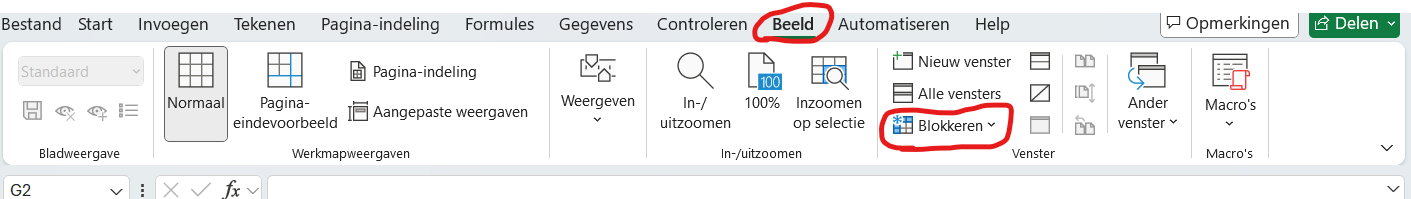 Een rij vastzetten in excel