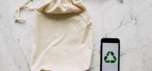 Duurzaam relatiegeschenk_pexels-readymade