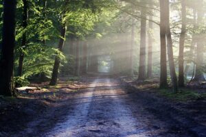 weekendje weg in eigen land_bertvthul-avenue