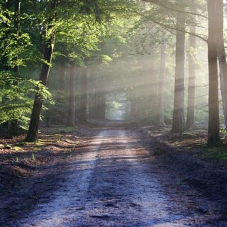 weekendje weg in eigen land_bertvthul-avenue