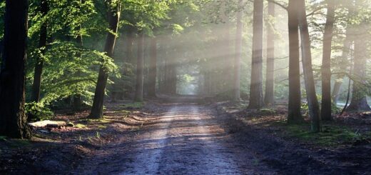 weekendje weg in eigen land_bertvthul-avenue